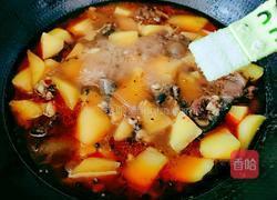 甲鱼烧土豆的做法图解15