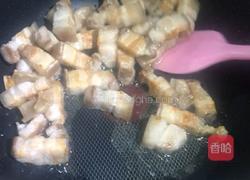 抽脂红烧肉的做法图解7