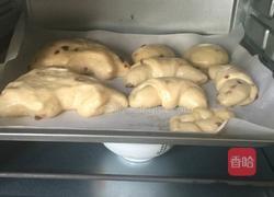 奶香葡萄干面包的做法图解9