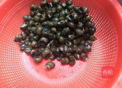 红烧螺蛳的做法图解3