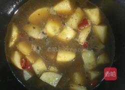 辣椒炖土豆的做法图解5