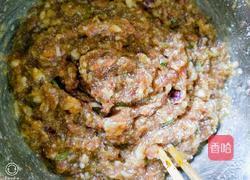 火龙果皮猪肉洋葱馅煮饺子的做法图解7