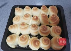 脆底蜂蜜小面包的做法图解22