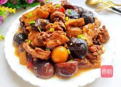 红烧香菇鸡块的做法图解19