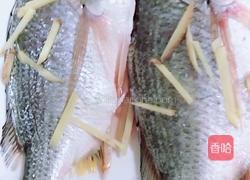 清蒸海鲫鱼的做法图解1