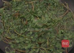 凉拌马齿苋的做法图解2