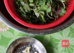 清炒红苋菜的做法图解2