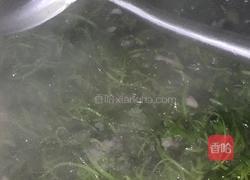 清炒红苋菜的做法图解6