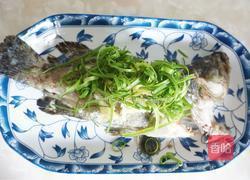 清蒸石斑鱼的做法图解8