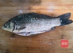 鲫鱼冬瓜汤的做法图解3