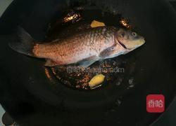 鲫鱼冬瓜汤的做法图解6