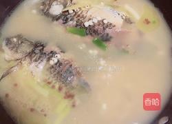 冬瓜薏仁鲫鱼汤的做法图解12