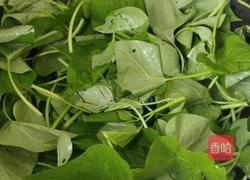 炒番薯叶的做法图解4