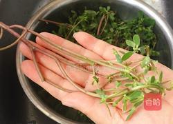 养生花生碎拌马齿苋的做法图解1