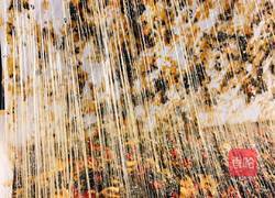 阿胶糕 阿胶膏的做法图解5