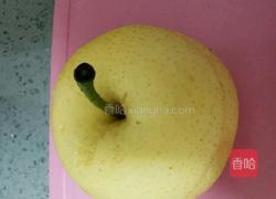 川贝炖苹果梨的做法图解8
