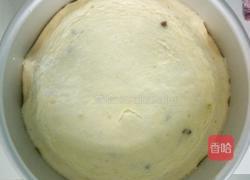 大红枣酸奶蒸蛋糕的做法图解6