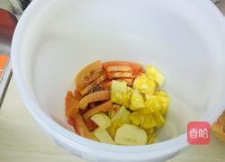 菠萝木瓜酵素的做法图解3