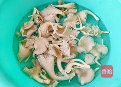 平菇豆腐汤的做法图解2