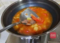 Illustration of Braised Beef Brisket with Tomatoes and Potatoes 12