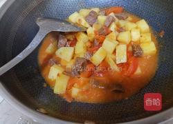 西红柿土豆焖牛腩的做法图解14