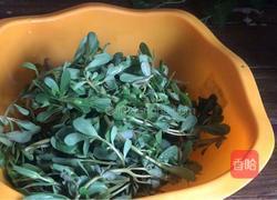 马齿苋苦瓜墩的做法图解1