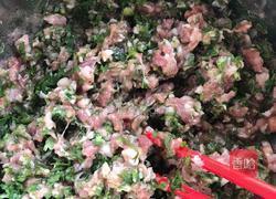 凉拌馄饨 猪肉香菜的做法图解2