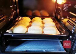 紫米餐包的做法图解21