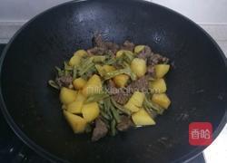 土豆豆角炖牛肉的做法图解14