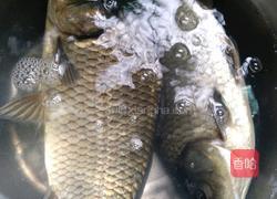 红烧土鲫鱼的做法图解1