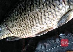 红烧土鲫鱼的做法图解2