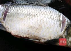 红烧土鲫鱼的做法图解3