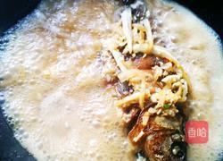 红烧土鲫鱼的做法图解13