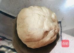 不加盐不加糖的奶香馒头,宝宝都爱吃的做法图解5