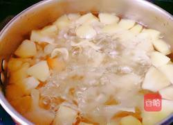苹果银耳汤的做法图解7
