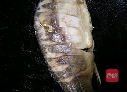 土鲫鱼豆腐汤的做法图解12