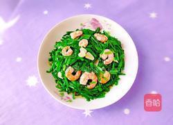 韭菜炒虾仁的做法图解14