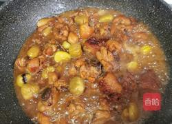 板栗烧鸡块的做法图解22