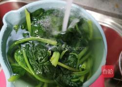 菠菜拌粉丝的做法图解7