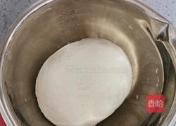 韭菜鸡蛋锅贴的做法图解2