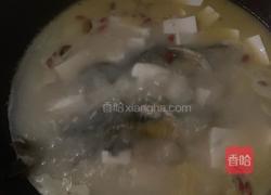 昂刺鱼豆腐汤的做法图解4