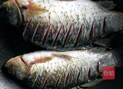 红烧鲫鱼的做法图解8