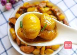 板栗烧鸡块的做法图解2