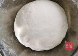 冰花锅贴的做法图解3