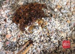 蜜桂花五仁月饼馅的做法图解12