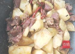 土豆烧牛肉的做法图解8