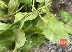 鸡肉水煮肉片的做法图解6