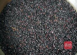 自制黑米黑芝麻糊的做法图解5