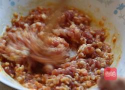 加拿大北极虾鲜肉云吞的做法图解4