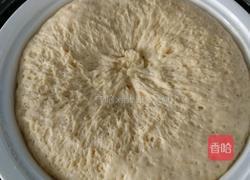 豆沙包的做法图解1